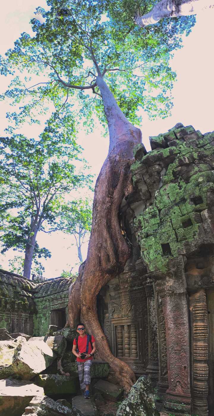 ta prohm siem reap cambodia
