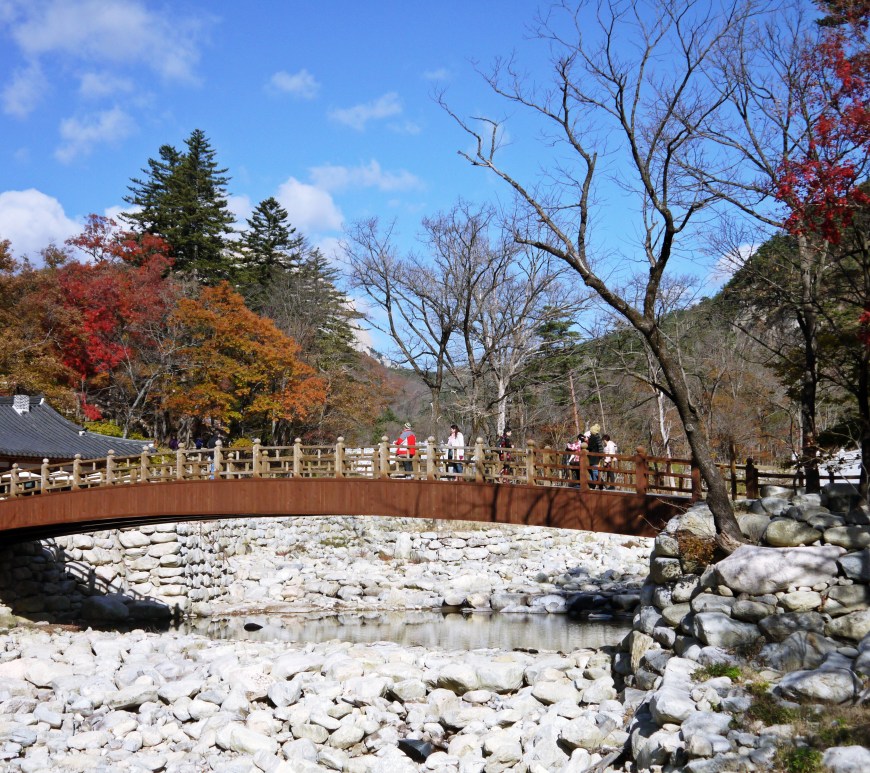 Autumn in Seoul Jermpins