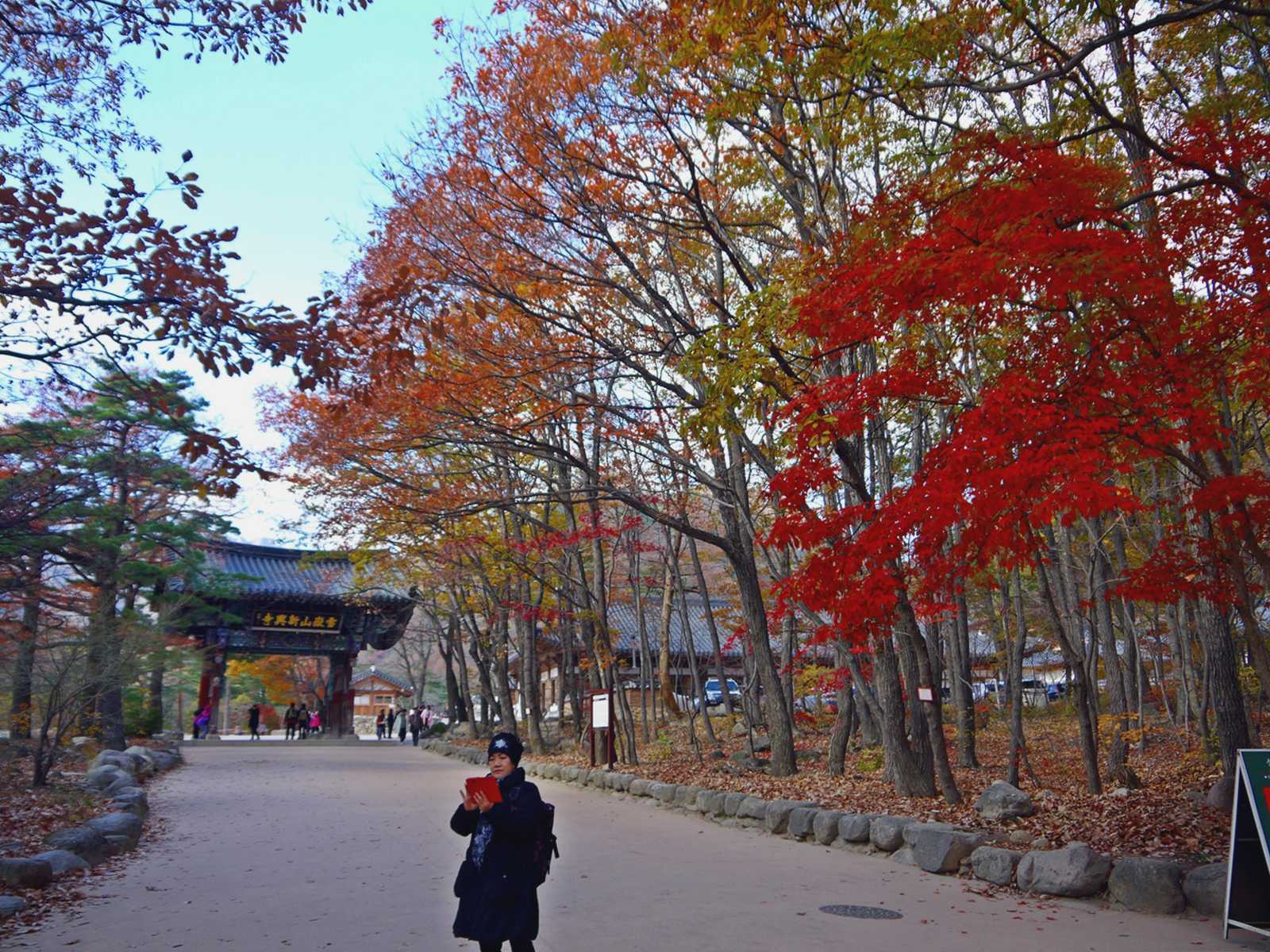 Mount Seoraksan National Park south korea