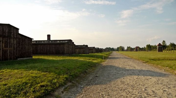jermpins auschwitz poland (7)