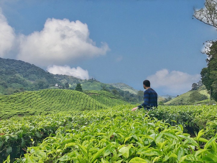 2a7e5d0e-2083-4979-80f5-ecc3bec423ae